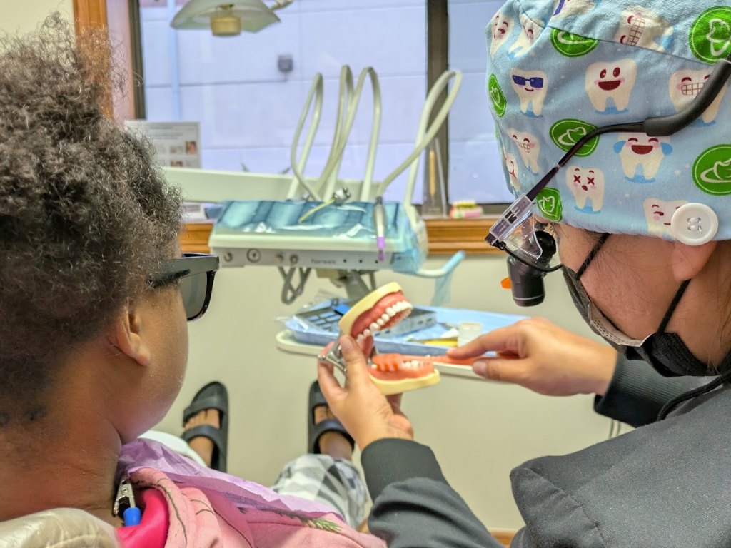 A hygienist showing a patient how to clean along the gumline on a model of the teeth