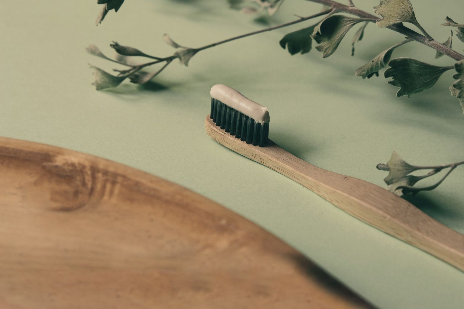 A wooden toothbrush beside a sprig of leaves