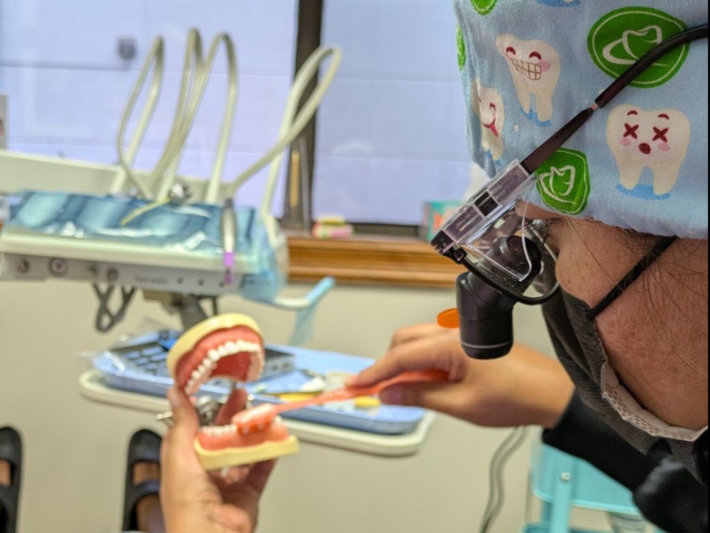A hygienist showing how to brush, using a toothbrush on a model of teeth